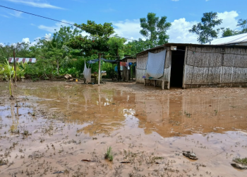 Vivienda afectada por inundación registrada en caserío Río Frío, Panzós, Alta Verapaz. / Foto: Conred