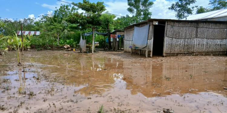 Vivienda afectada por inundación registrada en caserío Río Frío, Panzós, Alta Verapaz. / Foto: Conred