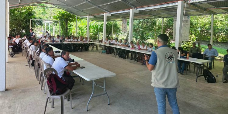 Entre enero y el 12 de septiembre de 2026, 14 mil 968 personas en todo el país fortalecieron sus conocimientos para prevenir y controlar el Gusano Barrenador. / Foto: MAGA.