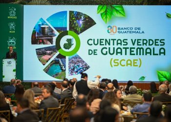 La naturaleza también cuenta: Banguat presenta sus cuentas verdes