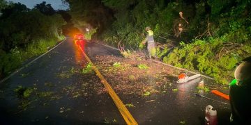 Conred ha brindado atención a más de mil emergencias derivadas de la época de lluvias 2026. (Foto: Conred)