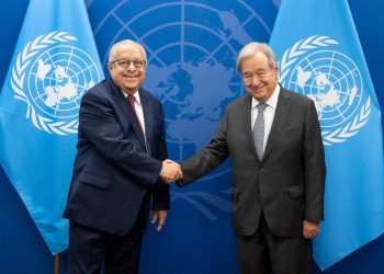 Canciller fortalece agenda diplomática en la ONU