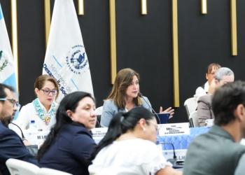 Vicepresidenta solicitó atención prioritaria a los 15 municipios de la Región Trifinio. (Foto: vicepresidencia)