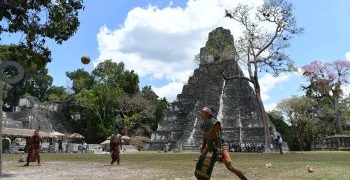 MCD aclara hallazgo de tucanes fallecidos en Tikal./Foto: archivo.
