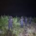 El hallazgo se produjo durante un operativo desarrollado por agentes antinarcóticos, como parte de las acciones para detectar y eliminar cultivos utilizados para la producción de drogas / Foto: PNC