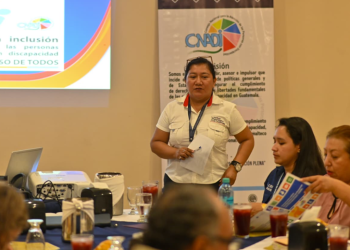 Codedis fortalece coordinación institucional para promover la inclusión de personas con discapacidad