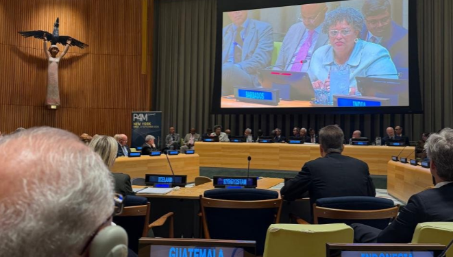 Guatemala participa en cumbre “Aliados del Multilateralismo, Derecho Internacional, Paz y Prosperidad”