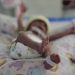 Hospital General San Juan de Dios reforzó la atención en neonatología. (Foto: archivo)