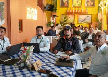Quiché avanza hacia la actualización de la Política Forestal de Guatemala