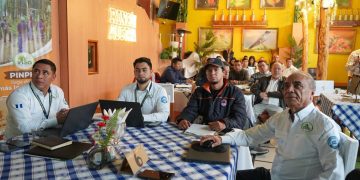 Quiché avanza hacia la actualización de la Política Forestal de Guatemala