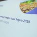 Plan Nacional de Respuesta ante la emergencia por sequía./Foto: Sesan.
