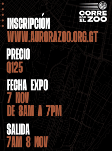 Comienza la cuenta regresiva para Corre por el Zoo 2026, /Foto: Zoo La Aurora