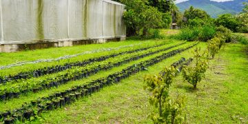 Codesan de Baja Verapaz abordaron temas relacionados con la seguridad alimentaria y nutricional