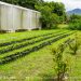 Codesan de Baja Verapaz abordaron temas relacionados con la seguridad alimentaria y nutricional