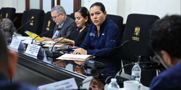 Presupuesto 2027: MAGA prioriza asistencia rural, riego y seguro agropecuario