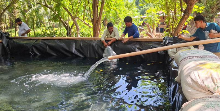 Entregados más de 24 mil alevines de tilapia para impulsar la producción familiar