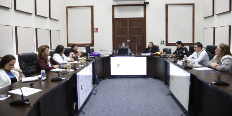 Mingob fortalece coordinación para atender a mujeres sobrevivientes de violencia
