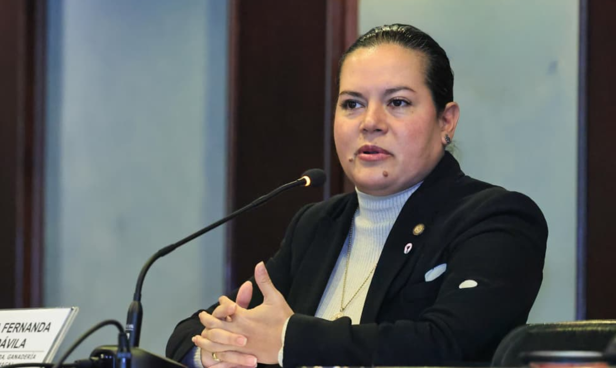 la ministra María Fernanda Rivera Dávila