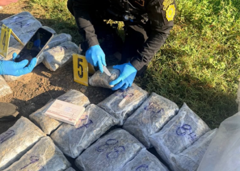 Agentes de la SGAIA detectaron el cargamento que presuntos integrantes de una organización criminal pretendían trasladar hacia la ciudad capital. / Foto: PNC.
