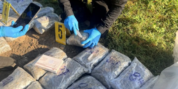 Agentes de la SGAIA detectaron el cargamento que presuntos integrantes de una organización criminal pretendían trasladar hacia la ciudad capital. / Foto: PNC.