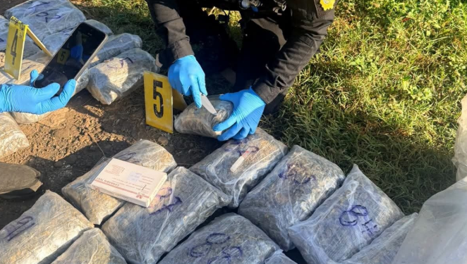 Agentes de la SGAIA detectaron el cargamento que presuntos integrantes de una organización criminal pretendían trasladar hacia la ciudad capital. / Foto: PNC.