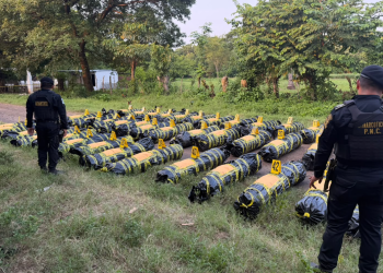 PNC valora en más de18 millones de quetzales marihuana incautada en Escuintla