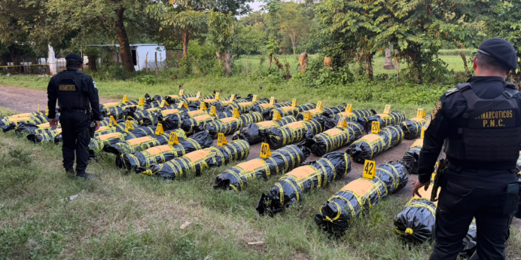 PNC valora en más de18 millones de quetzales marihuana incautada en Escuintla