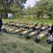 PNC valora en más de18 millones de quetzales marihuana incautada en Escuintla