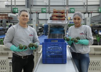 Banguat destaca el empleo formal como vía para llevar crecimiento a los hogares