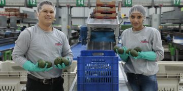 Banguat destaca el empleo formal como vía para llevar crecimiento a los hogares