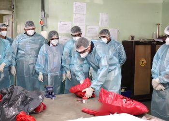 Salud fortalece vigilancia de la rabia en animales