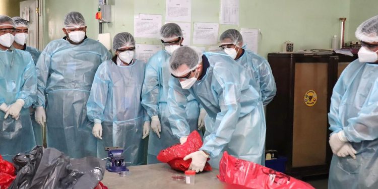Salud fortalece vigilancia de la rabia en animales