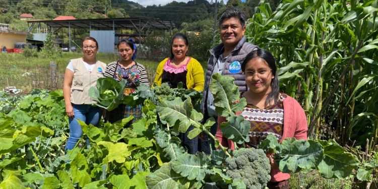 MAGA entrega más de 82 mil raciones de alimentos en municipios de Chiquimula