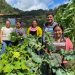MAGA entrega más de 82 mil raciones de alimentos en municipios de Chiquimula