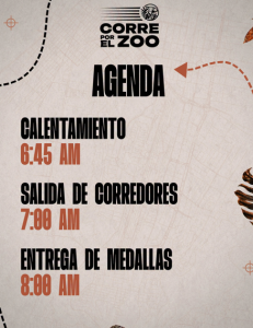 Comienza la cuenta regresiva para Corre por el Zoo 2026, /Foto: Zoo La Aurora