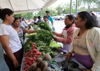 Feria del Agricultor pondrá a disposición productos para preparar el fiambre