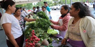 Feria del Agricultor pondrá a disposición productos para preparar el fiambre