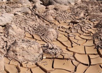 Sequía evidencia necesidad de fortalecer generación eléctrica