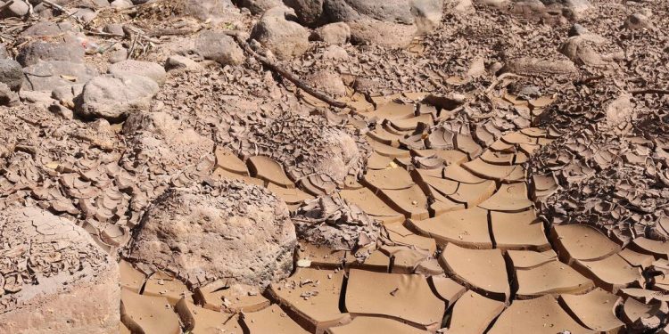 Sequía evidencia necesidad de fortalecer generación eléctrica