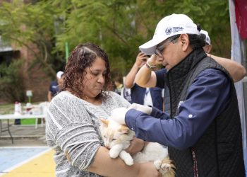 Jornada de Vacunación Antirrábica Canina ./Foto: MSPAS.