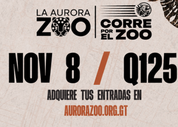 Comienza la cuenta regresiva para Corre por el Zoo 2026, /Foto: Zoo La Aurora
