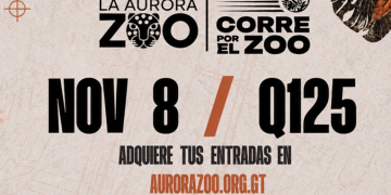 Comienza la cuenta regresiva para Corre por el Zoo 2026, /Foto: Zoo La Aurora