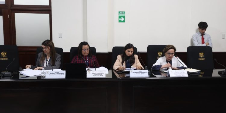 La SESAN presentó sus proyecciones a trabajar con el presupuesto 2027. (Foto: SESAN)