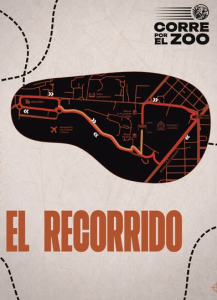 Comienza la cuenta regresiva para Corre por el Zoo 2026, /Foto: Zoo La Aurora