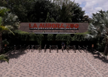 Zoológico La Aurora invita a vivir unas vacaciones llenas de aventura y aprendizaje. / Foto: Zoo.